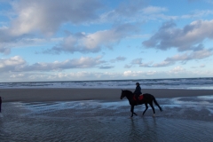 Norderney 2